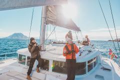 Arctic Summer Sail Safari