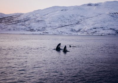 PukkaTravels__edited_nowatermark-7158