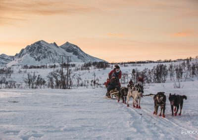 19_01_18_Dog_Sledding_077