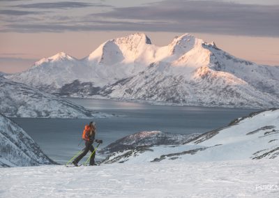Snowshoe Hike Tesla Experience Tromso