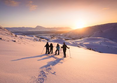 Snowshoe Hike Tesla Experience Tromso