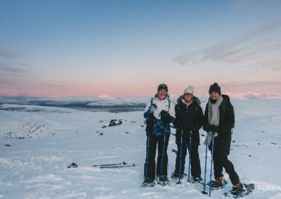 Snowshoe Hike Tesla Experience Tromso