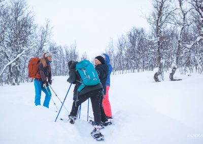 Snowshoe Hike Tesla Experience Tromso