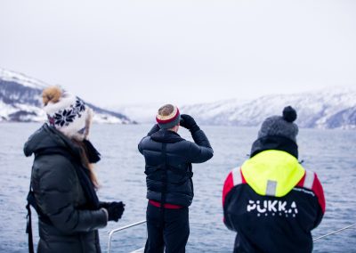 Pukka Travels Whale Safari